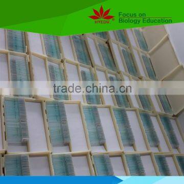 High quality eggplant and fruit diseases prepared microscope slides for research