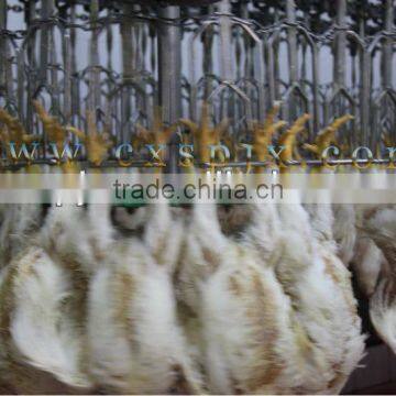 Slaughter Machine /slaughtering Hanger