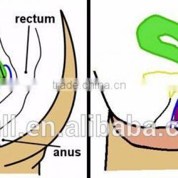 BPA/Dioxin Free Silicone Menstrual Cup photo-3