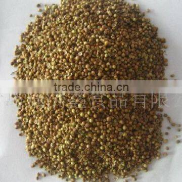 Chinese Coriander Seeds photo-2