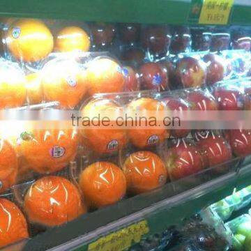 4 Compartment Plastic Compartment Boxes Food Packaging Containers Clear Plastic Paking Box