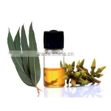 Eucalyptus Essential Oil / Indian Origin