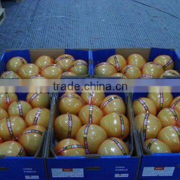 Chinese Fresh Honey Pomelo From Factory photo-6