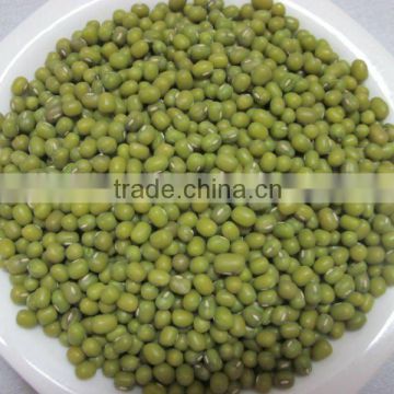 hot sold dry green mung bean 3.2-3.6mm