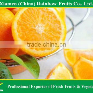 kinnow mandarin citrus fruit from China