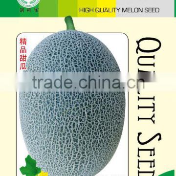 Sweet melon Cantaloupe Muskmelon seeds for growing-Red sweet crisp