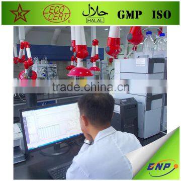 BNP Natural TOP Quality Reishi Spore Powder photo-4