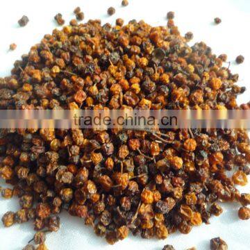 Dried wild red sorbus fruit