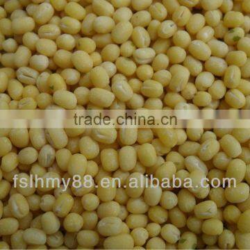 Peeled/skinless whole green mung bean