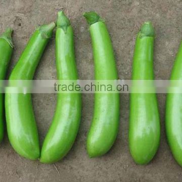 ME051 Qingjiao early maturity green eggplant seeds, hybrid long eggplant seeds