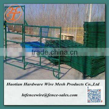 Green colour coated horse fence panels portable metal corral (made in Anping)