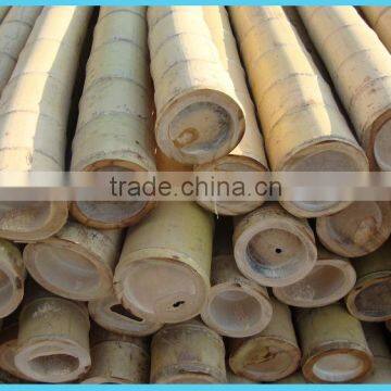 Wy-C186 Nature bamboo pole