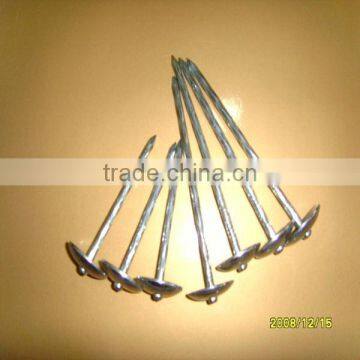 hot sales! galvanized roofing nails with umbrella head(factory price)