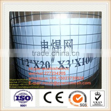 High Quality galvanized Welded wire mesh /rabbit cage factory