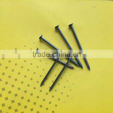 Common Iron Nails Manufacture in China photo-4