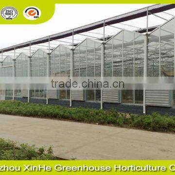 Planting the Sunlight Greenhouse Flowers,modern Greenhouse for Agriculture Farming and Grow photo-2