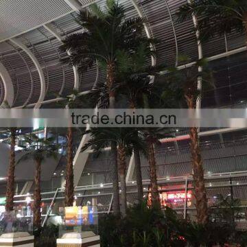 Artificial Tall Palm Tree for Airport Public Decoration photo-4