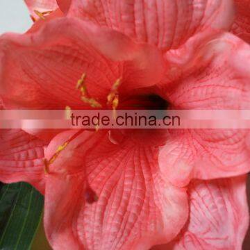 Natural Vallota Speciosa Fabric Vallota Speciosa Decorative Vallota Speciosa Artificial Flower for Wholesale photo-5
