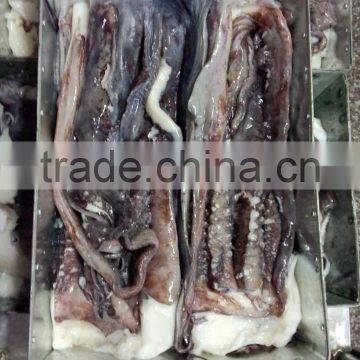 Fishing Boats,Frozen Giant Squid Tentacle photo-2