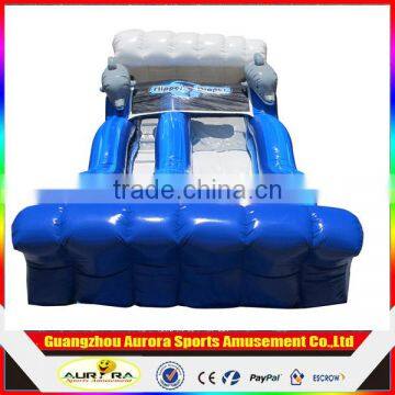 Inflatable Water and Dry Slide, Inflatable Bouncy Slide,High Quality Castle Inflatable Slide