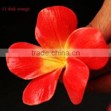 Plumeria frangipani flower head realistic look flower