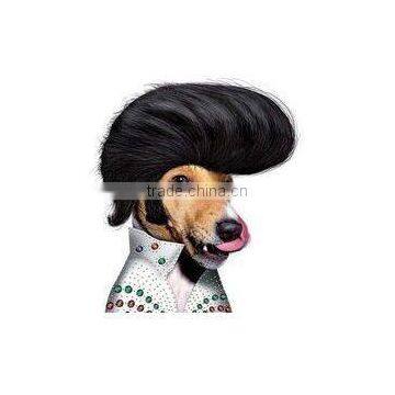 pet wig ,dog wig