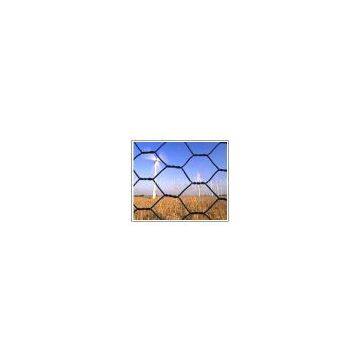 Hexagonal Wire Netting