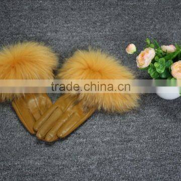 Newly season special and fashion competive price sheep leather raccoon fur trim gloves