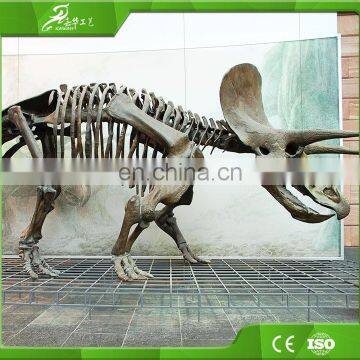 High Simulation Museum Public Display Life-size Dinosaur Skeleton photo-3