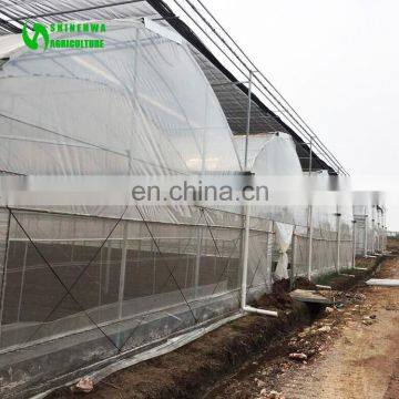 Hot Sale Tunnel/Single-span Plastic/film Greenhouse/Green House For Agriculture