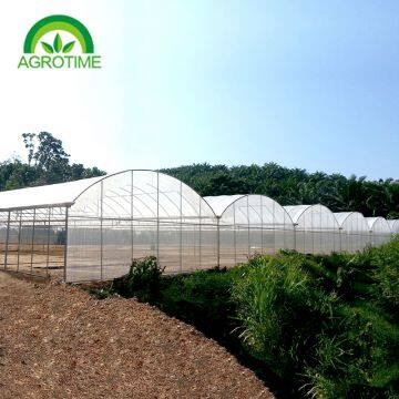 2019 high strength multispan vegetables greenhouse with plastic film for sale