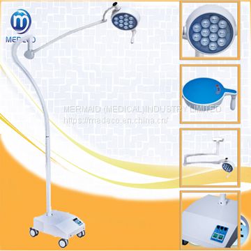 Clinic Therapy Checking Use LED Examination Light (LED F500)