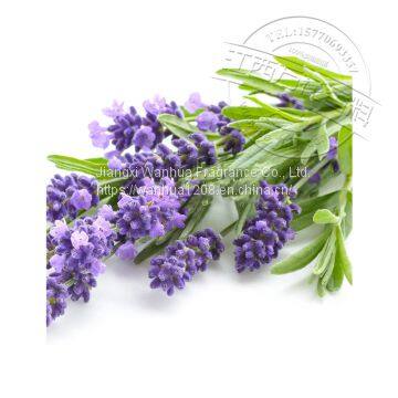 Distillation of Lavender Essential Oil 8000-28-0 photo-2
