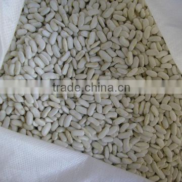 Medium White Kidney Beans, long shape, 180-200, 200-220/100gr