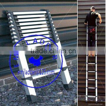 The most compact Telescopic Ladder 3.2m