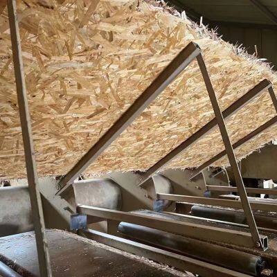 Wholesale Fire Rated 4*8FT OSB Board Oriented Strand Board 9mm to 18mm for Furniture Board photo-5