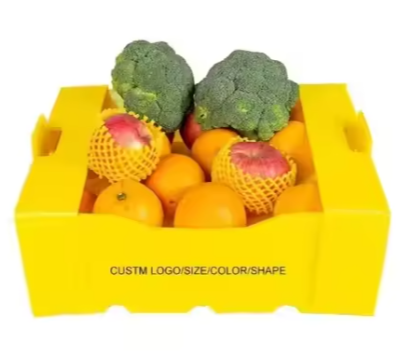 Stackable Corrugated Plastic Fruit Containers – Eco-Friendly & Reusable