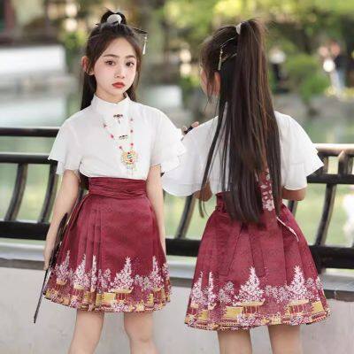Wholesale Hanfu Pleated Skirt Woman Clothing Faldas Harajuku Vintage Maxi Chinese Style Horse Face Skirts for Women Saia One-piece Long photo-1