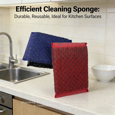 Custom Kitchen Clean Scourer Pad Stainless Steel Scourer Sponge photo-4