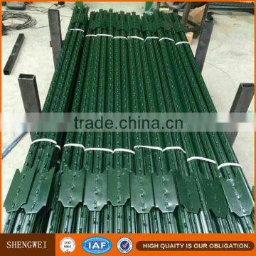 Green Paint Steel Studded t Post for USA Market photo-2