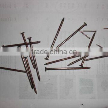 Common Round Nails