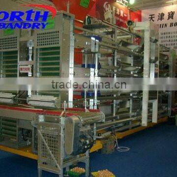 Full hot galvanized h type chicken cage