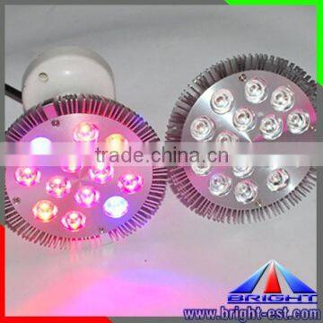 led grown light par30, red+blue led grow light PAR38 7W 9W 12W 15W