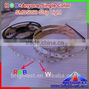 12V/ 24V DC LED strip RGBW ip20, SMD 5050 LED light strip RGB+w 60leds/m