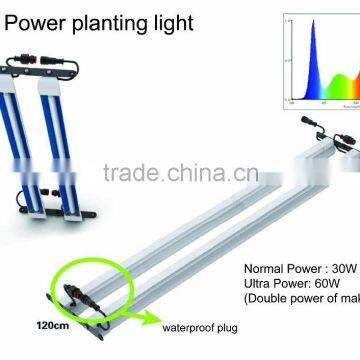 2015 New Hydroponics High power CFL planting light Planting factory