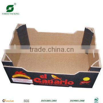 2015 FancyFruit Carton Box Vegetable Carton Box EP6565151