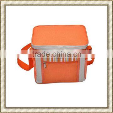 2012 Cooler Bag For Frozen Food