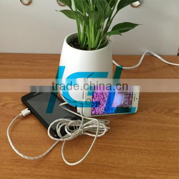 2 port usb desktop charger for iphone for ipad for samsung / desktop usb charger hot selling