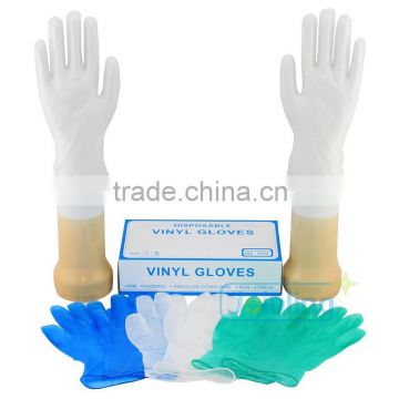 Powder Free Vinyl Examination Gloves