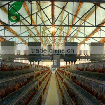 multi-tier auto feeding for chicken farming